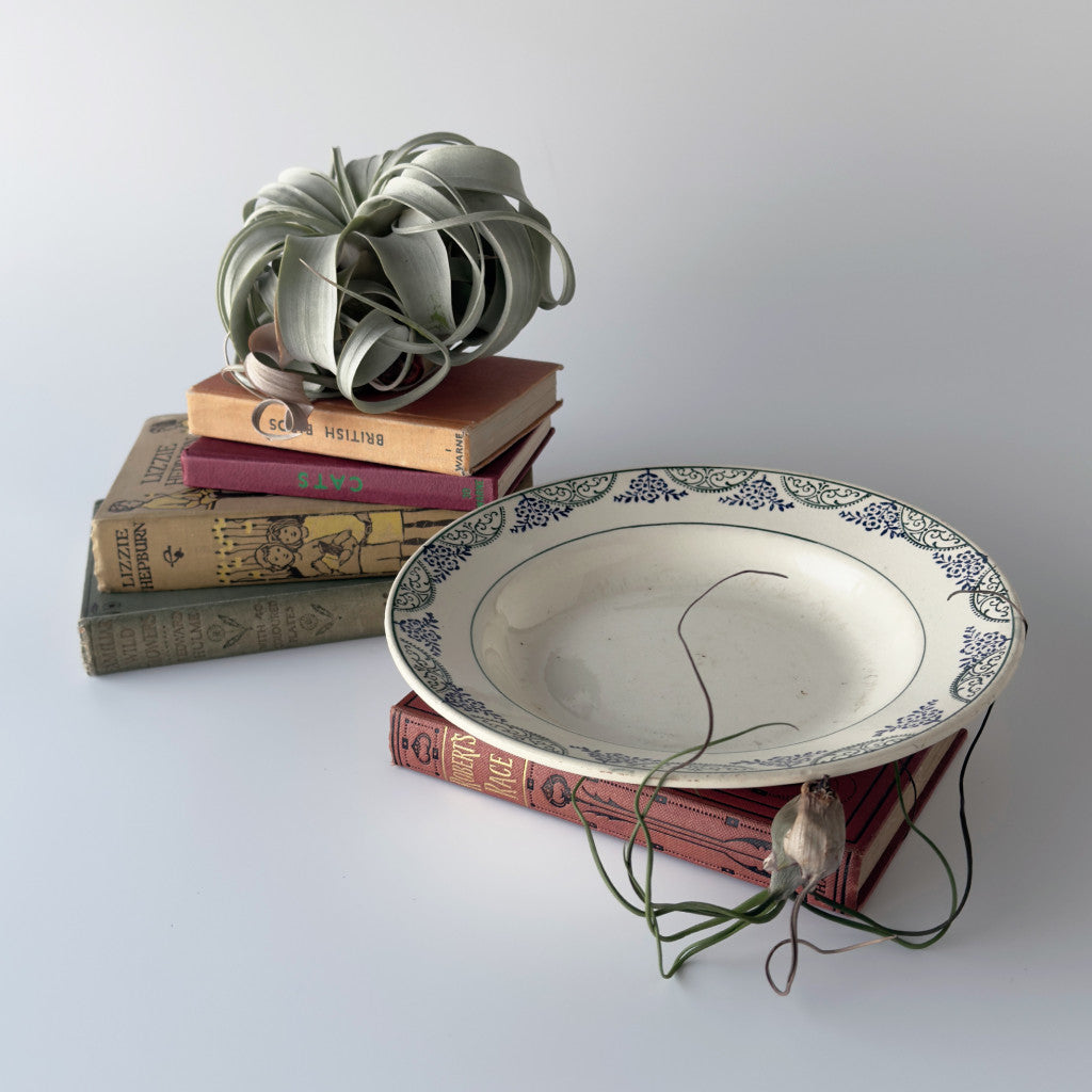 ヴィンテージ プレート