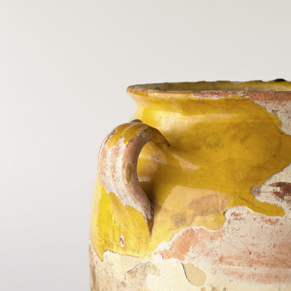 フランス製 アンティーク コンフィポット