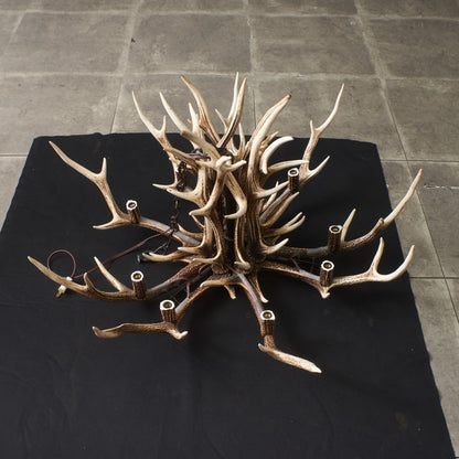 鹿角シャンデリア 9灯式