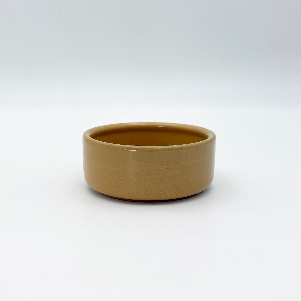 英国ヴィンテージ ドッグフード ボウル