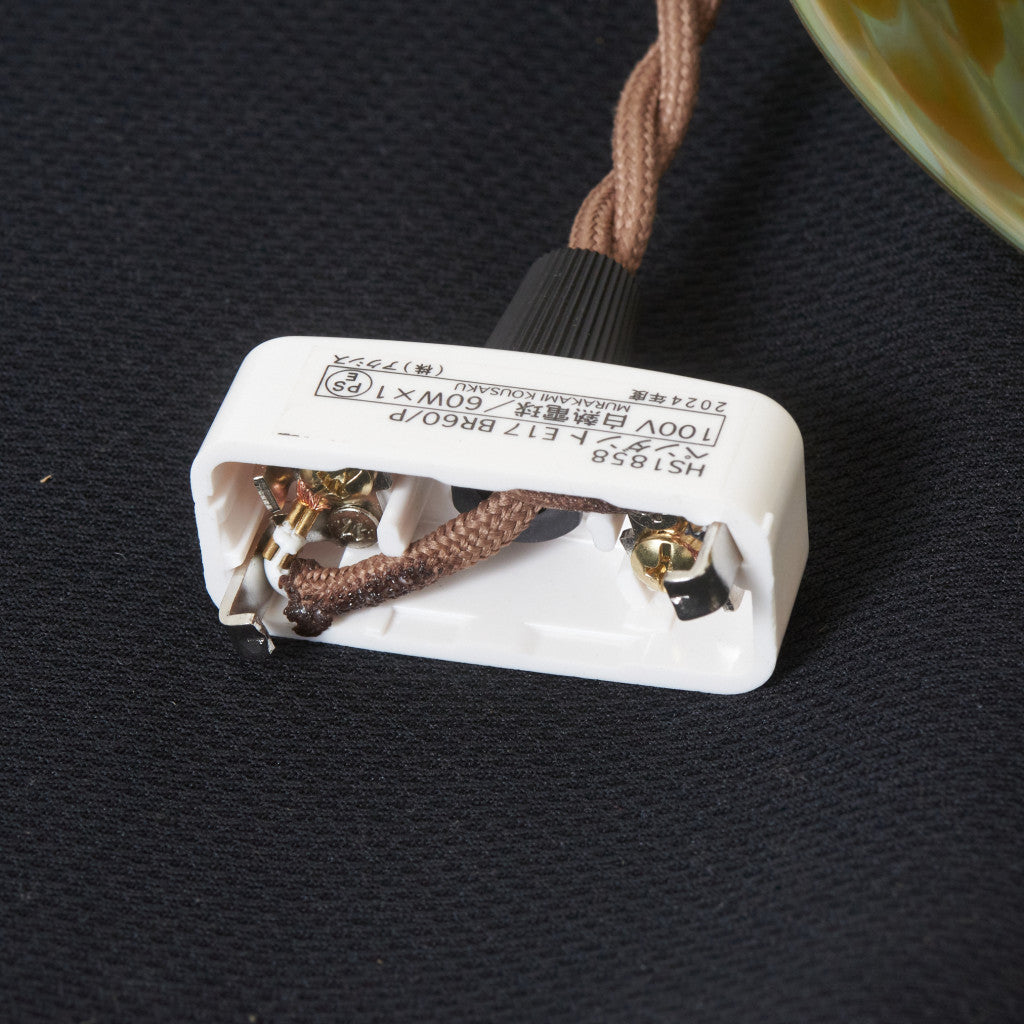 西欧アンティーク ガラスシェード ペンダントライト