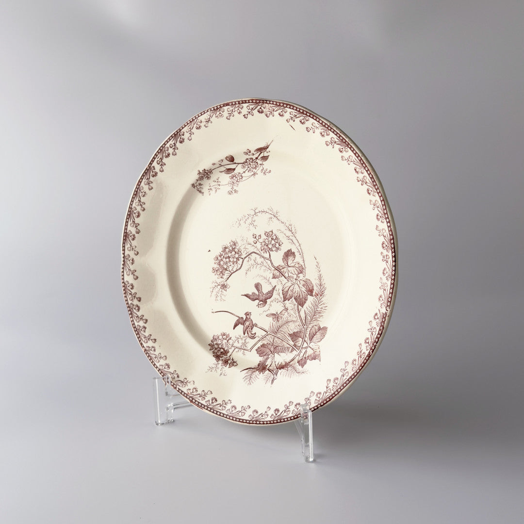 Oiseaux ペクソンヌ プレート